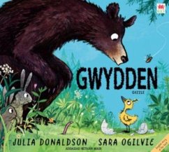 Cover Gwyddno / Gozzle