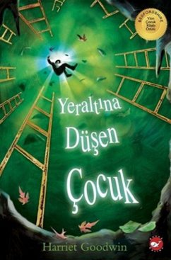 Cover Yeraltina Düsen Cocuk