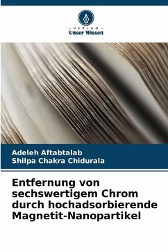 Cover Entfernung von sechswertigem Chrom durch hochadsorbierende Magnetit-Nanopartikel