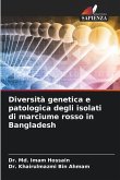Diversità genetica e patologica degli isolati di marciume rosso in Bangladesh