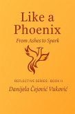 Like a Phoenix (Reflective Series, #2) (eBook, ePUB)