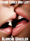 Sugar Canes and Lust (eBook, ePUB)