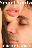 Secret Santa (eBook, ePUB)