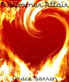 A Summer Affair (eBook, ePUB)