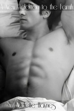 A New Addition to the Family (eBook, ePUB) - Haynes, Odette