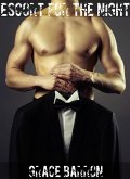 Escort for the Night (eBook, ePUB)