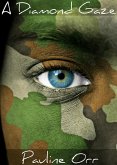 A Diamond Gaze (eBook, ePUB)