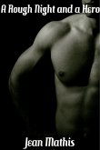 A Rough Night and a Hero (eBook, ePUB)