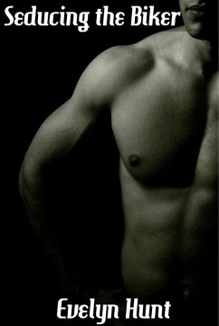 Seducing the Biker (eBook, ePUB) - Hunt, Evelyn