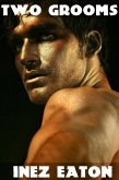 Two Grooms (eBook, ePUB)