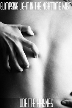 Cover Glimpsing Light in the Nighttime Mist (eBook, ePUB)