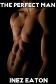 The Perfect Man (eBook, ePUB)