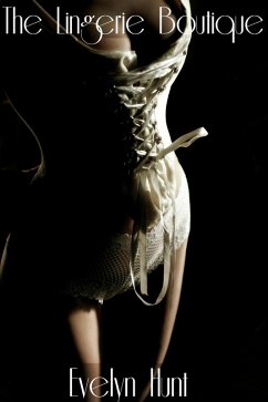 Cover The Lingerie Boutique (eBook, ePUB)