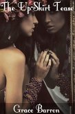 The Up-Skirt Tease (eBook, ePUB)