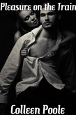 Pleasure on the Train (eBook, ePUB)