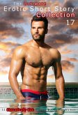 The Ultimate Erotic Short Story Collection 17: 11 Erotica Books (eBook, ePUB)