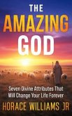 The Amazing God (eBook, ePUB)