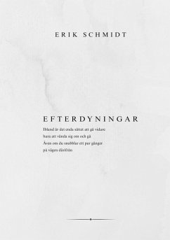 Efterdyningar (eBook, ePUB) - Schmidt, Erik
