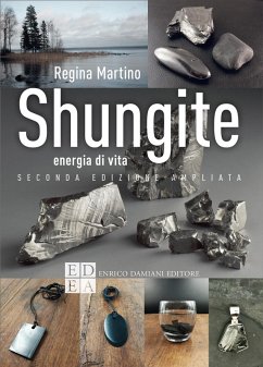 Cover Shungite (eBook, ePUB)