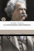 Lo straniero misterioso (eBook, ePUB)