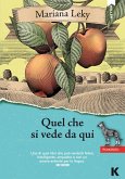 Quel che si vede da qui (eBook, ePUB)
