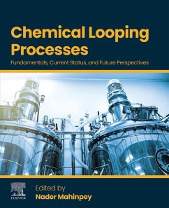 Cover Chemical Looping Processes (eBook, ePUB)