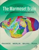The Marmoset Brain in Stereotaxic Coordinates (eBook, PDF)