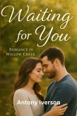Waiting for You (Romance In Willow Creek, #95) (eBook, ePUB)