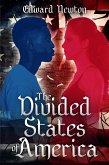 The Divided States of America (eBook, ePUB)