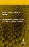 Asia's New Industrial World (eBook, PDF) Asia's New Industrial World (eBook, PDF)