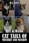 Felix & Willow cat tails of mischief and mayhem (eBook, ePUB)