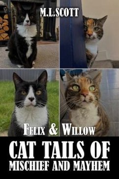 Cover Felix & Willow cat tails of mischief and mayhem (eBook, ePUB)