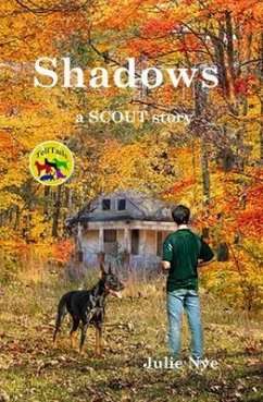 Shadows (eBook, ePUB) - Nye, Julie
