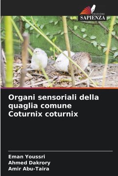 Cover Organi sensoriali della quaglia comune Coturnix coturnix