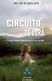 Circuito de Cura