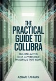 The Practical Guide to Collibra