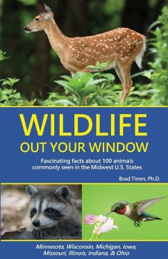 Cover Wildlife Out Your Window