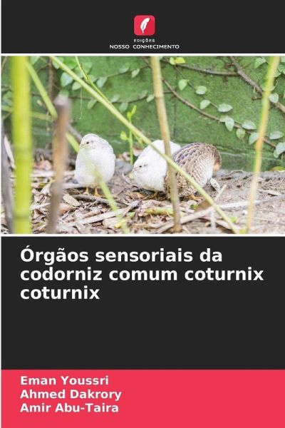 Órgãos sensoriais da codorniz comum coturnix coturnix Órgãos sensoriais da codorniz comum coturnix coturnix