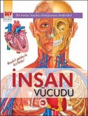 Insan Vücudu Insan Vücudu