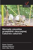 Narz¿dy zmys¿ów przepiórki zwyczajnej Coturnix coturnix