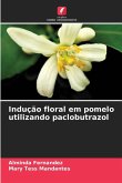 Indução floral em pomelo utilizando paclobutrazol Indução floral em pomelo utilizando paclobutrazol