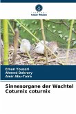 Sinnesorgane der Wachtel Coturnix coturnix