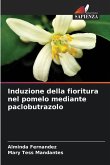 Induzione della fioritura nel pomelo mediante paclobutrazolo