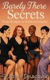Barely There Secrets: From Wedgies to Wicked Delights (Addictive Filth, #15) (eBook, ePUB)
