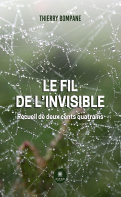 Cover Le fil de l'invisible (eBook, ePUB)