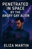 Penetrated In Space By The Angry Gay Alien (eBook, ePUB)