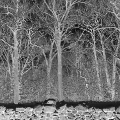 Sunshine And Balance Beams (Clear Vinyl) - Pile Sunshine And Balance Beams (Clear Vinyl) - Pile