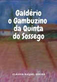 Galdério, O Gambuzino Da Quinta Do Sossego (eBook, ePUB) Galdério, O Gambuzino Da Quinta Do Sossego (eBook, ePUB)