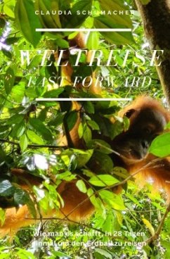 WELTREISE fast forward