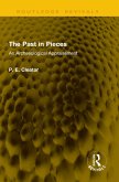 The Past in Pieces (eBook, PDF)